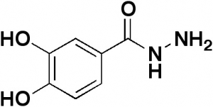 3,4-Dihydroxybenzhydrazide