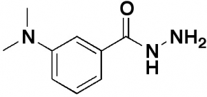 3-(Dimethylamino)benzhydrazide