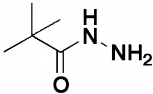 Pivalic acid hydrazide
