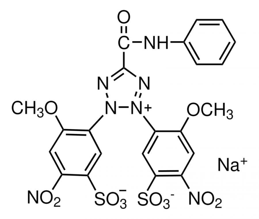 XTT Sodium Salt